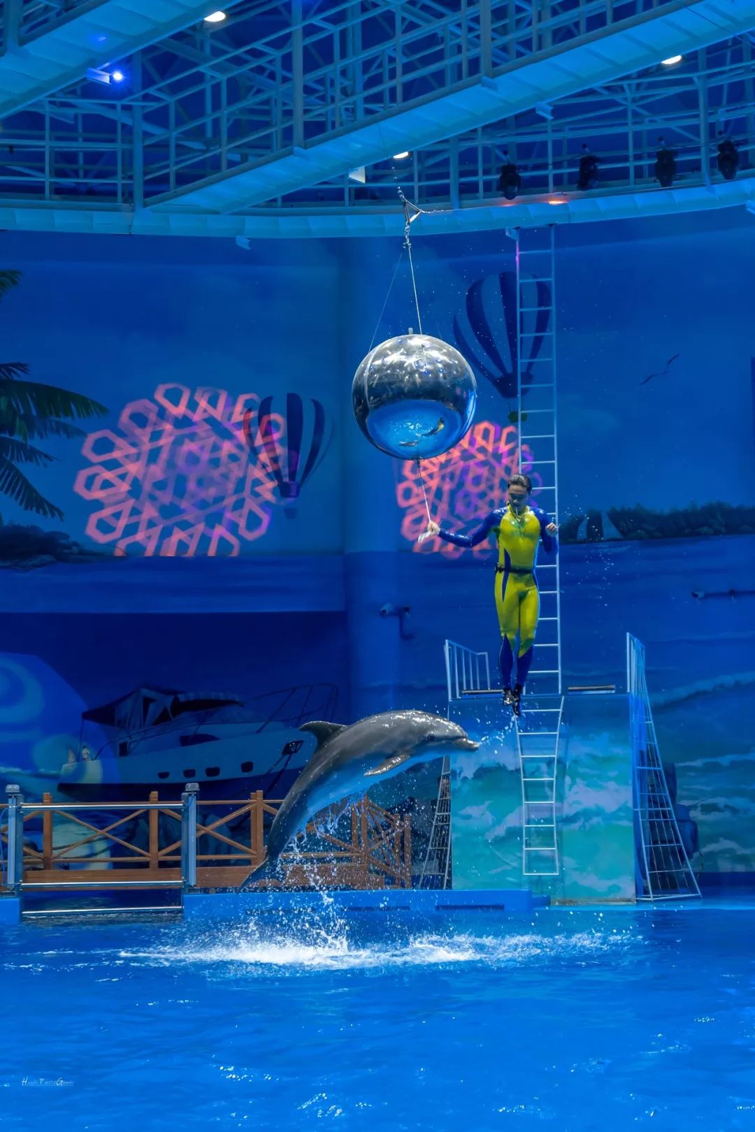 今天揭晓:西宁海洋馆有个秘密