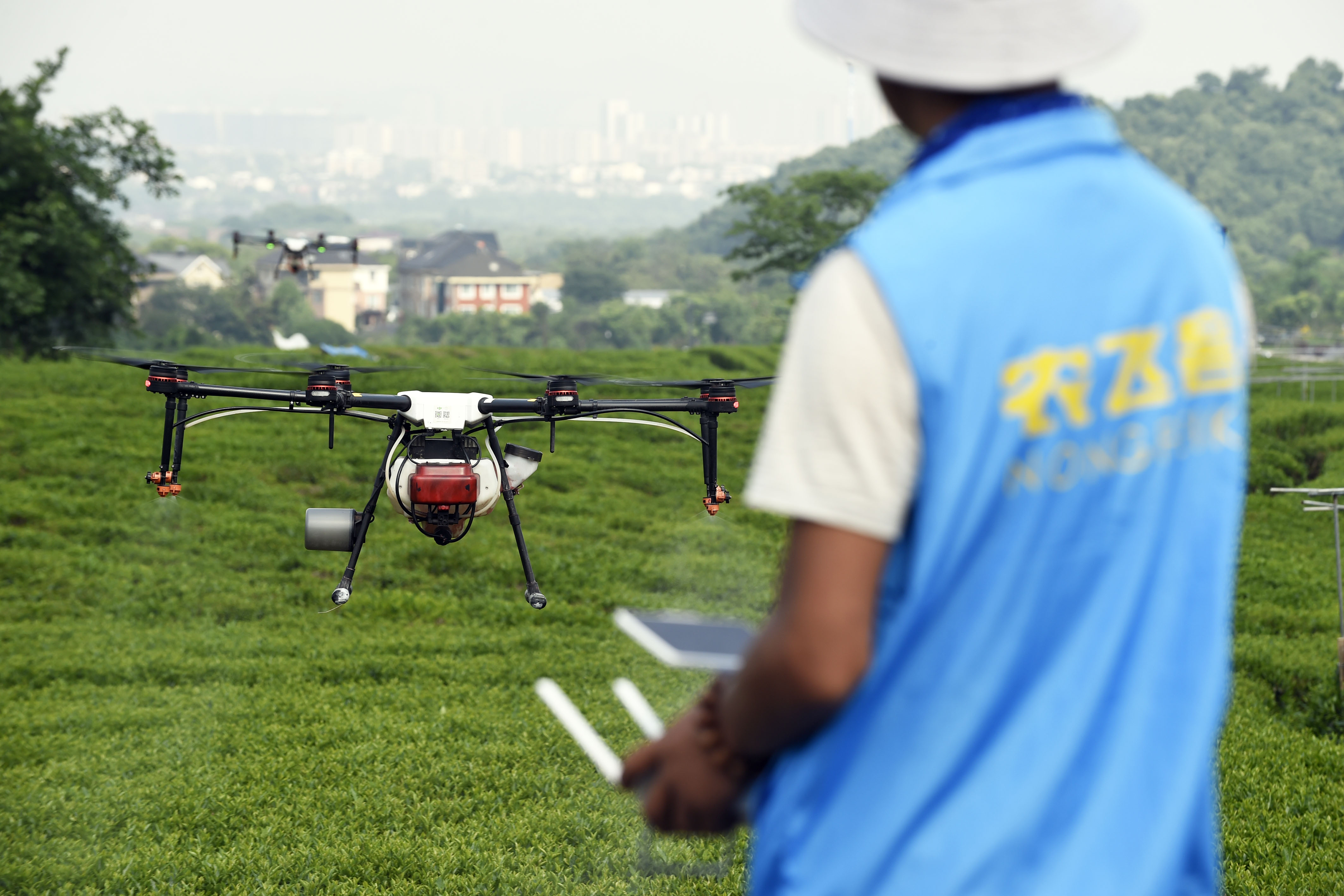 杭州西湖龙井茶园实施无人机飞防植保(2)