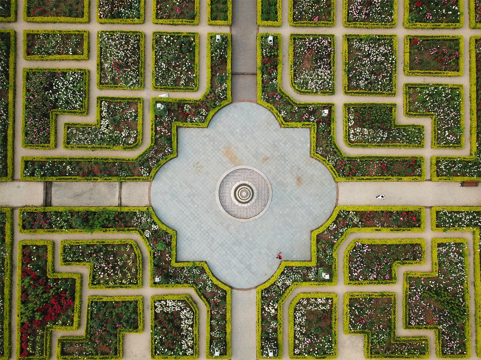 "航拍江西龙虎山植物"太极迷宫""