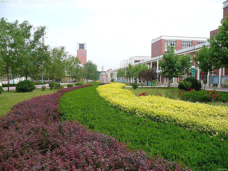 想念阿明同学,怀念我们在河间一中共同度过的日子