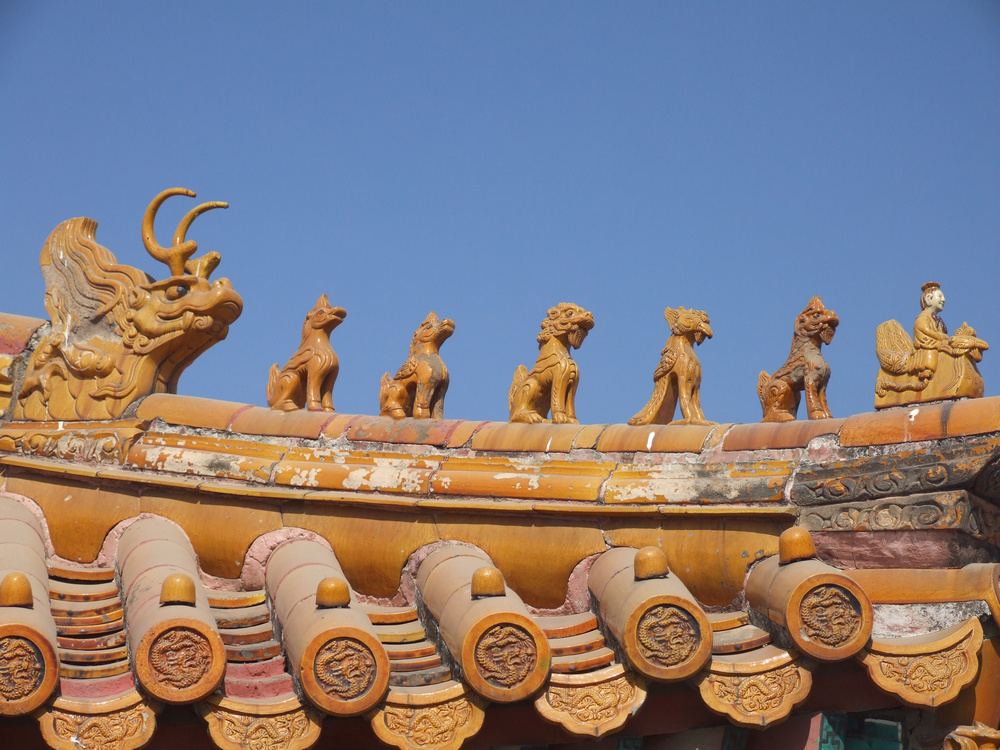 故宫有那么多房子,但是屋顶为何没有鸟屎?一位游客说出了真相!