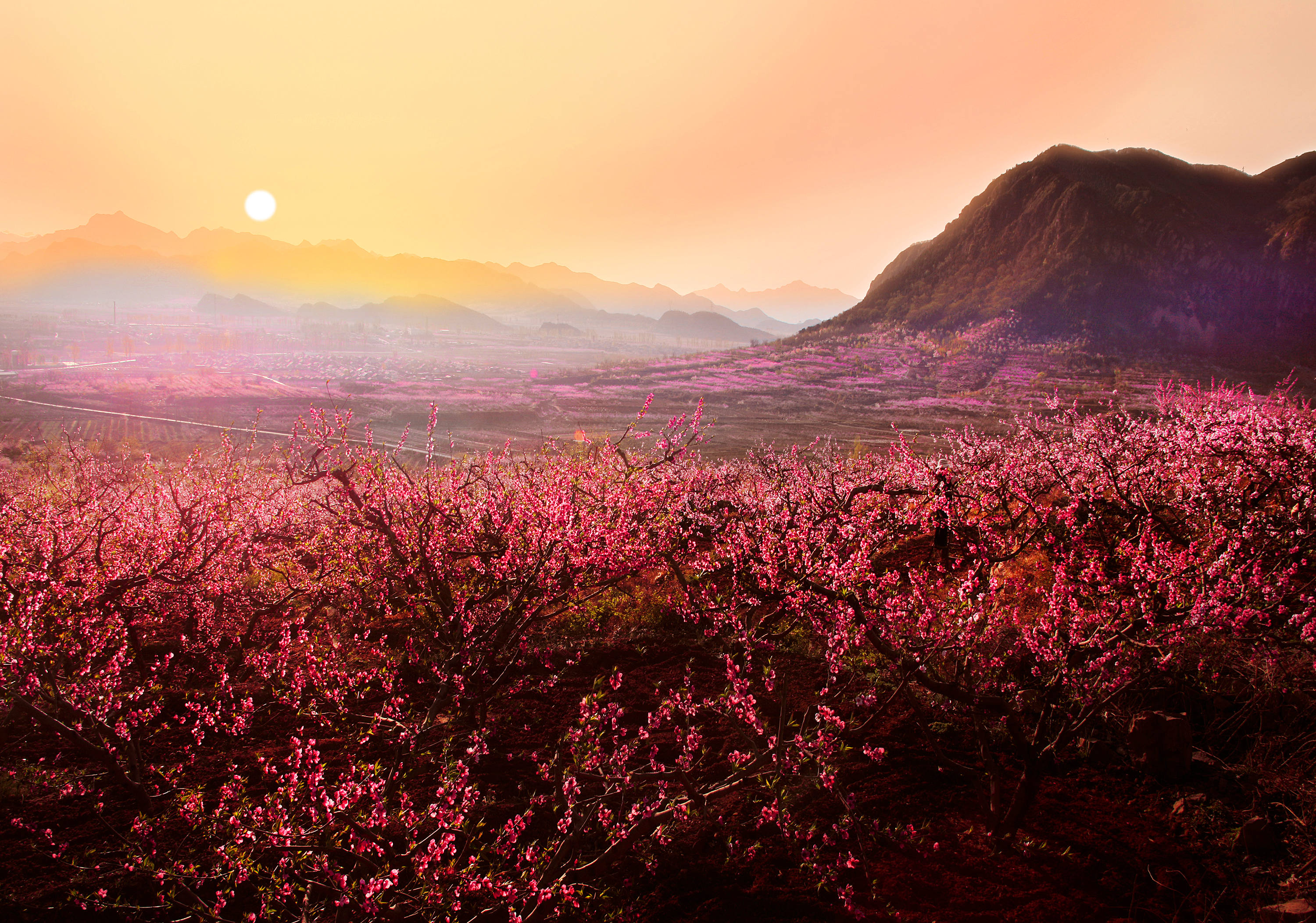 桃花源记桃花源景色图片