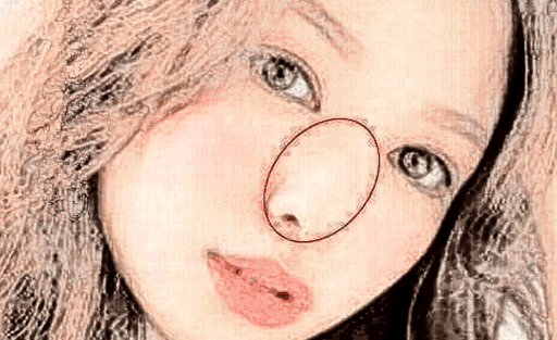 五种旺财的好鼻子,挣钱多家业足,一辈子不发愁!