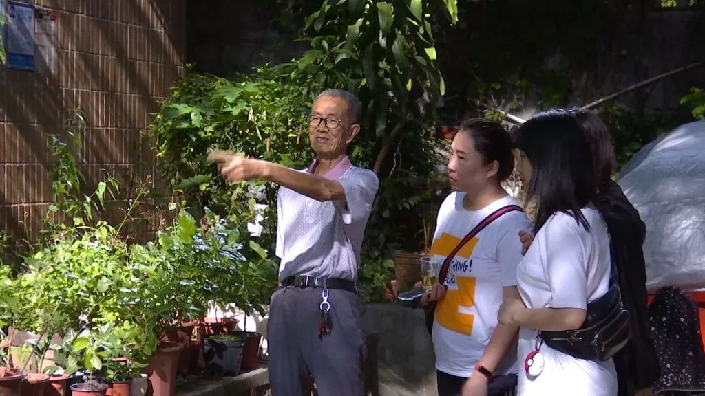 退休医师朱学锋:醉心草药五十载