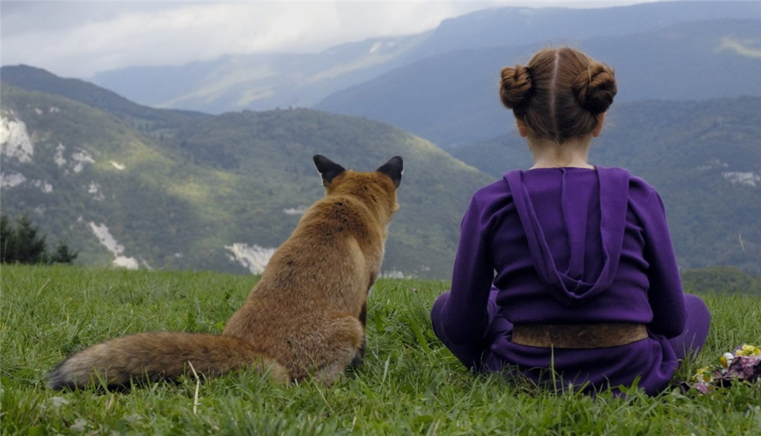 《狐狸与我》:动物的天性是自由,爱它就应该远离它!