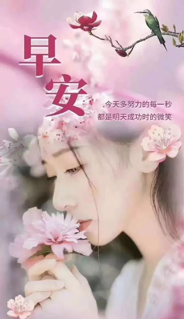 2020朋友圈群发的冬天早安正能量语录,微信清晨祝福语图片