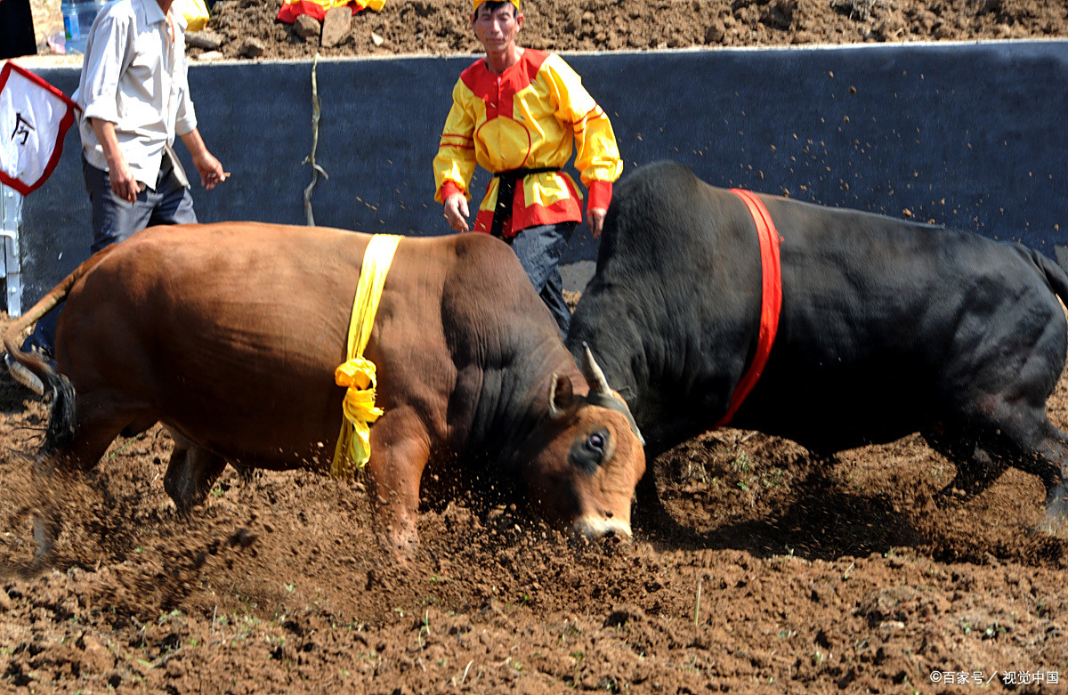 牛客竞赛,牛客竞赛app 牛客竞赛,牛客竞赛app