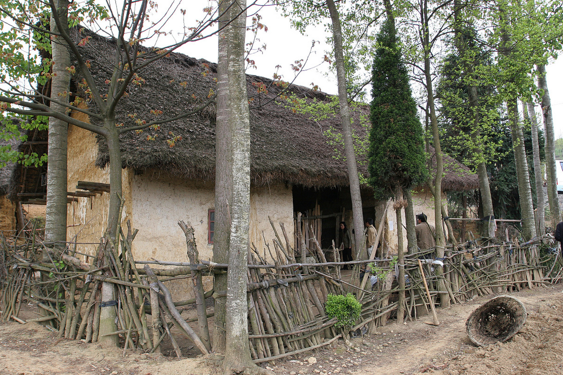你住过农村的茅草屋吗?