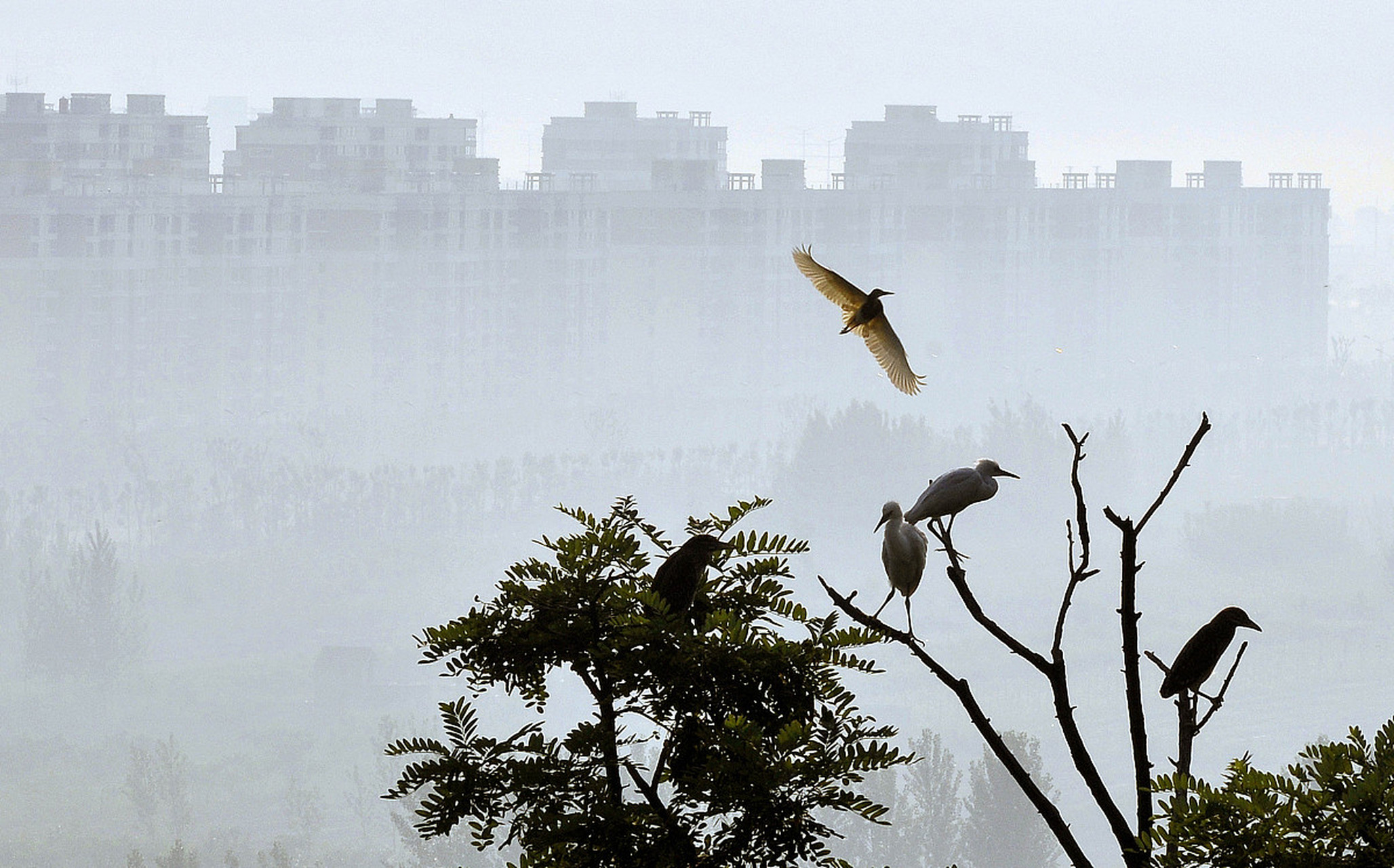 东营历年房价:  2015年楼盘平均单价 5550元/平  2016年楼盘平均单价