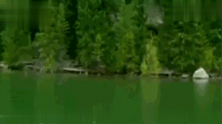 从事件中我们可以看到湖面上非常的安静,确实是一个旅游度假的好地方