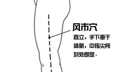 风市穴:以袪风见长,善治风证!