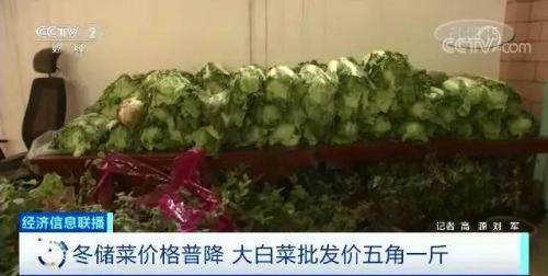 绿植批发价格大全最新表