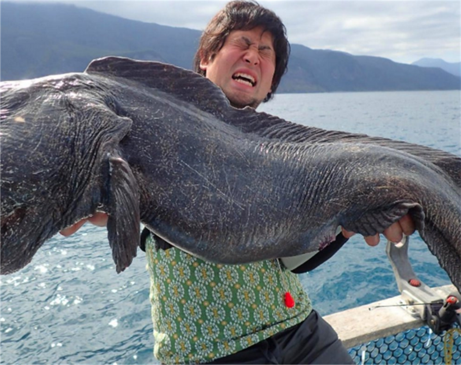 日本核洩漏,周邊生物被波及嚴重,不少生物出現變異等現象!