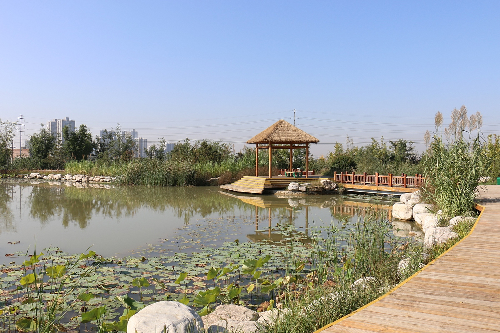 湖北六月游:漫步汉川公园,品味蔡林记热干面🌳🍜  一,汉川公园