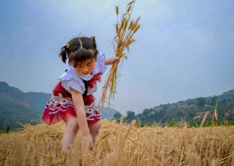 拾麦穗 作者:俞丽华(甘肃武威)