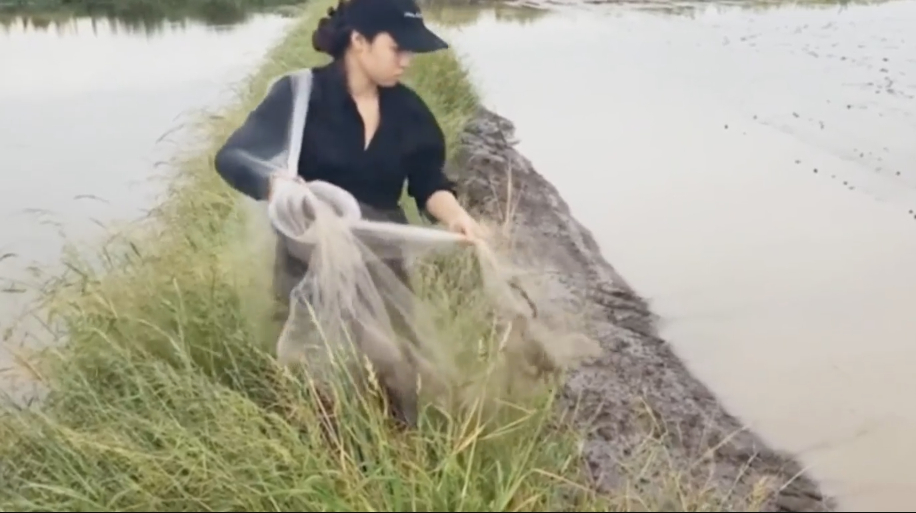 農村美女在野外撒網捕魚,一網下去收穫不少