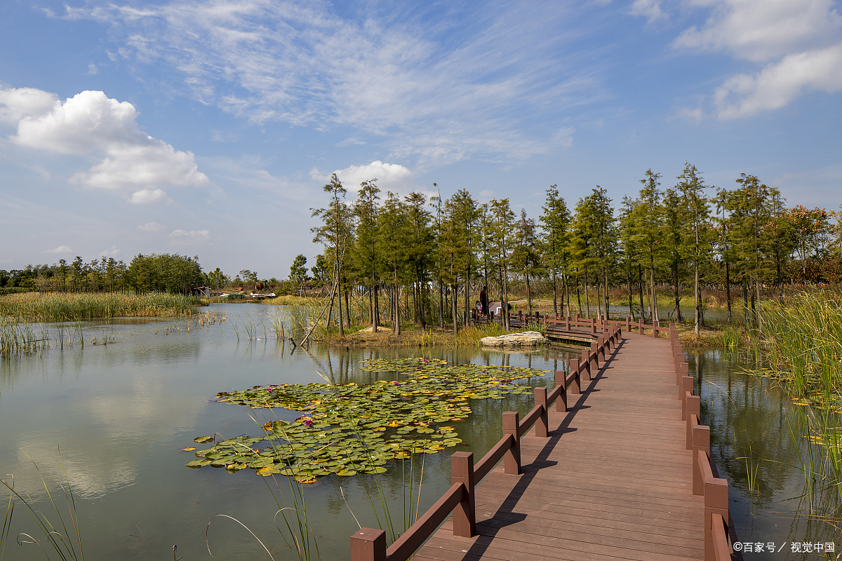 鲁家滩湿地公园地址图片