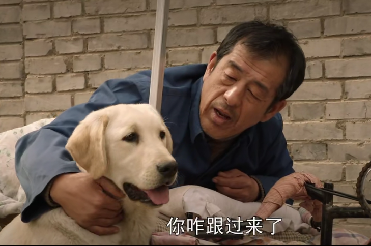 《忠爱无言》老于一生中最幸运的事,就是遇见他的爱犬