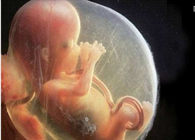 几张图为你播放,怀孕1～16周胎儿发育整个过程,让人泪目