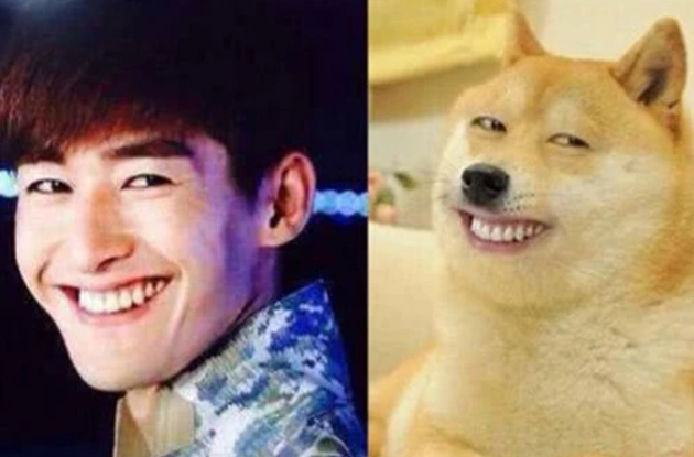 和动物"撞脸"的明星,黄渤孙红雷不算啥,张翰笑的我脸疼!