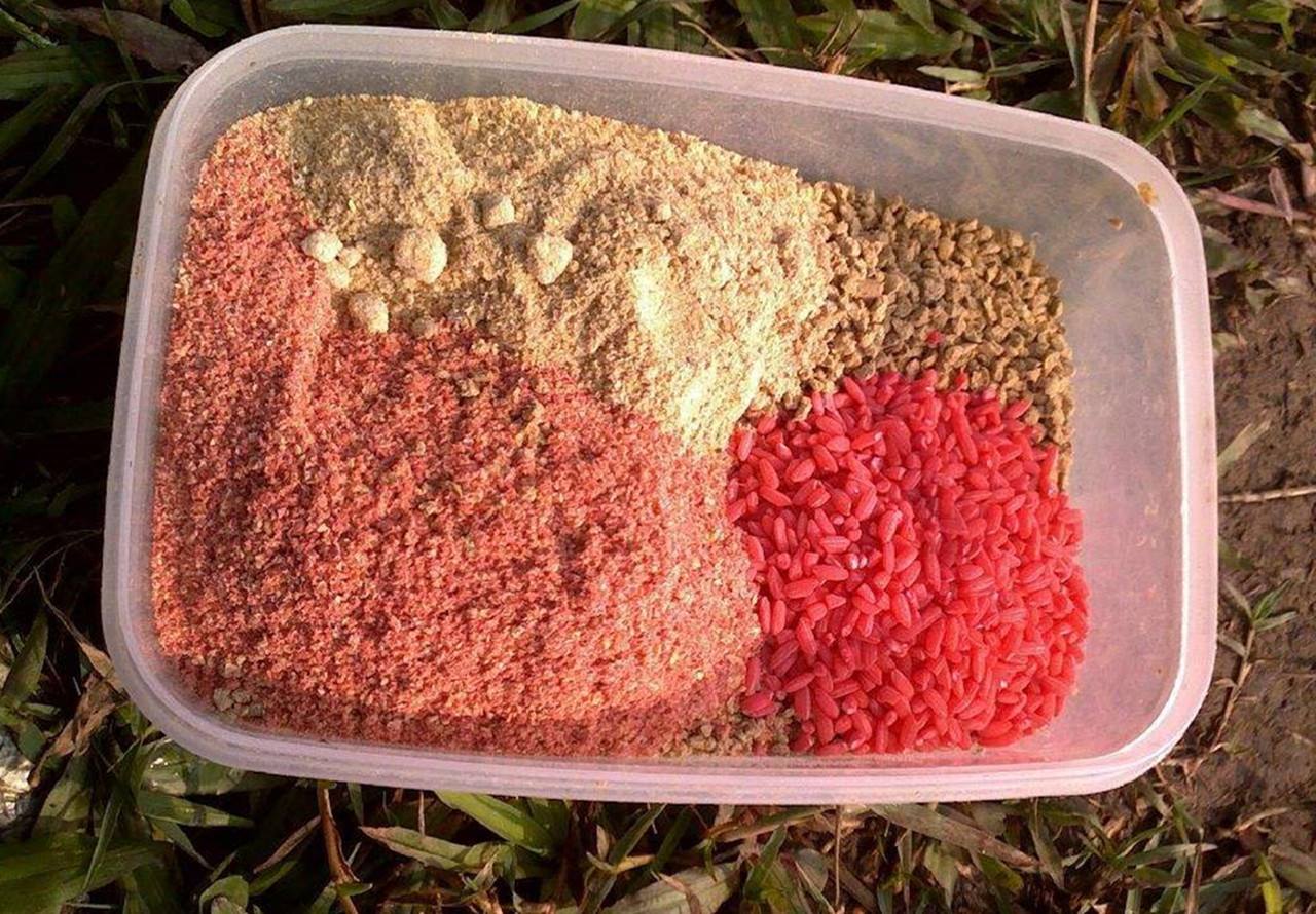 饵料- 热门商品专区