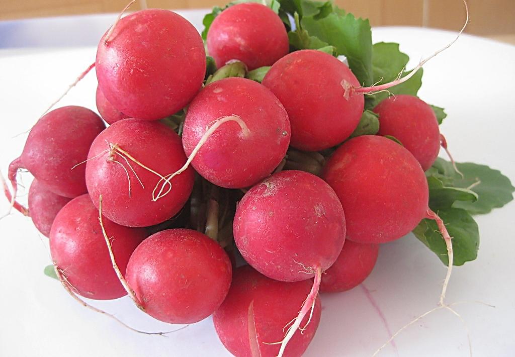 水萝卜的五大功效和作用,不看不知道,一看有你想不到的妙处