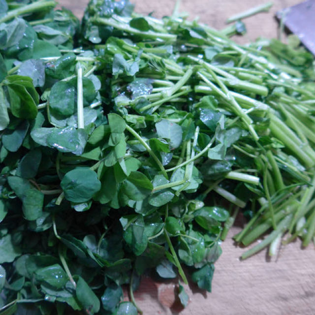 五花肉炒草籽,清淡鲜美下饭,十分钟就搞定