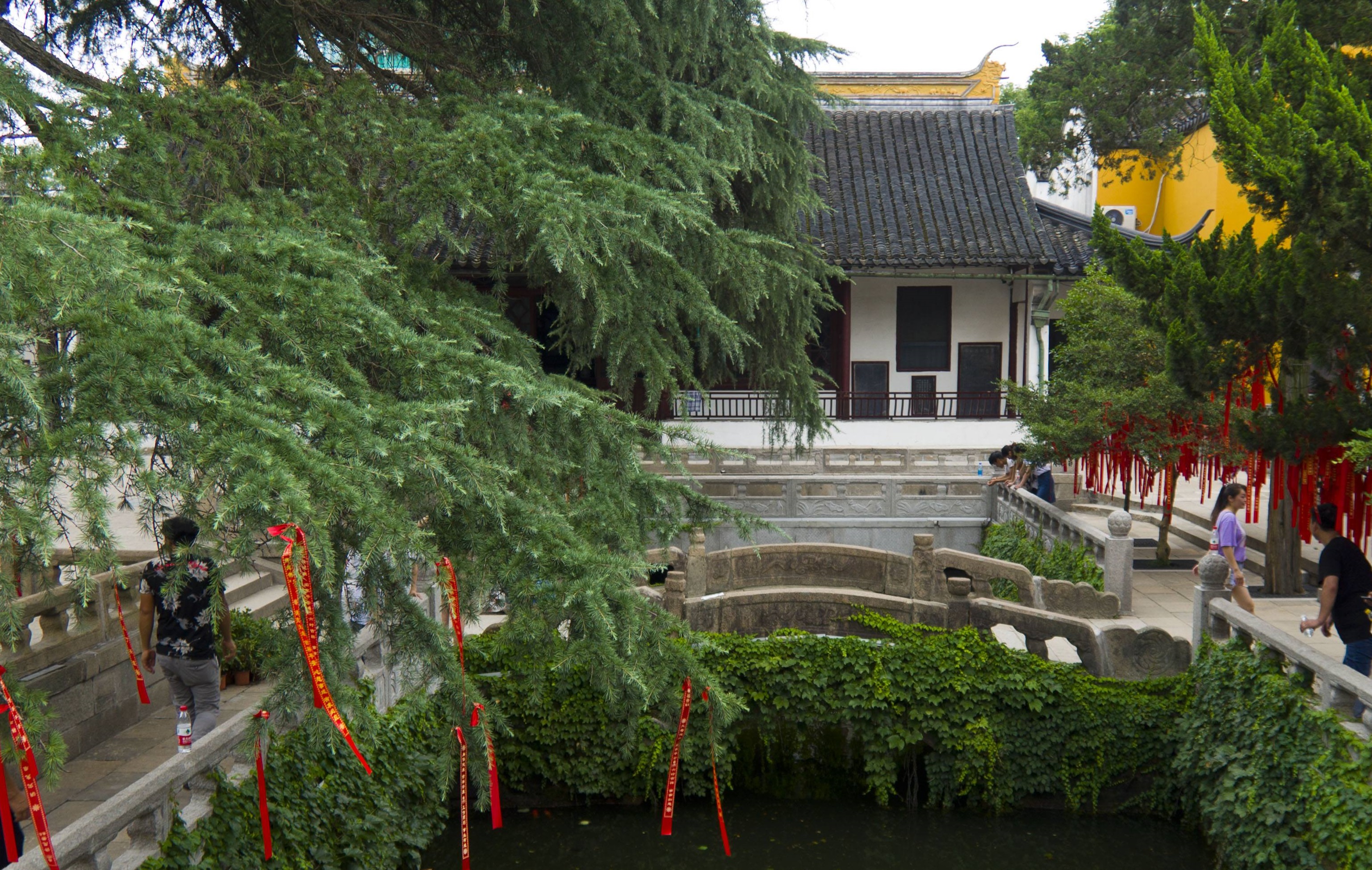 苏州这个寺庙不讲经不传法,网友一语道出"天机":杜绝多少油水