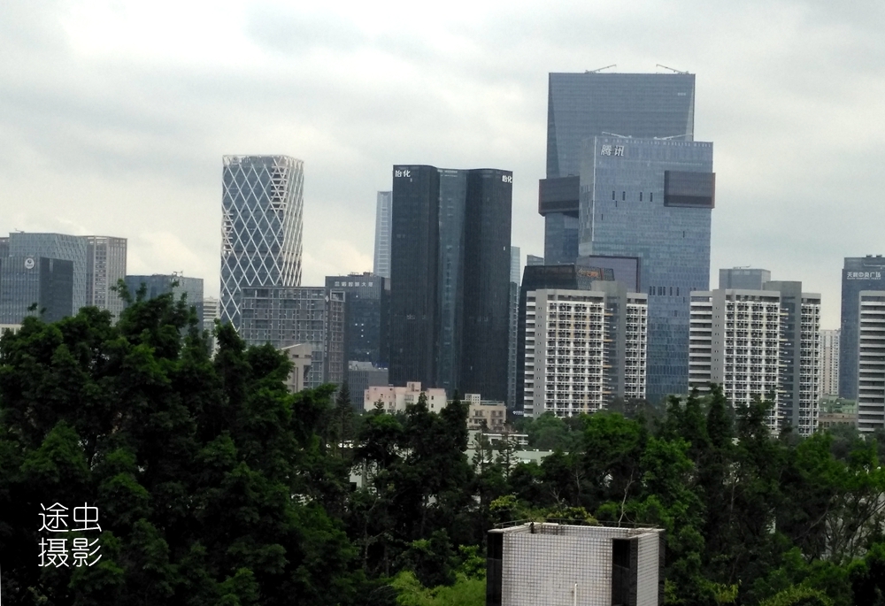 在深圳大学俯瞰广东实力第一区,天际线壮观绿化更抢眼