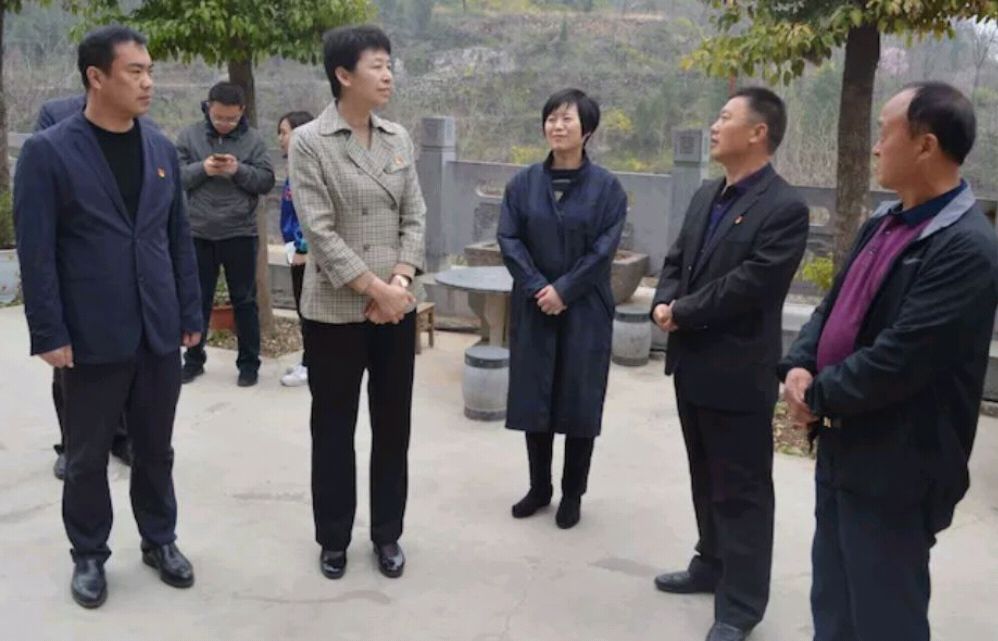 郑州市委副书记,组织部长焦豫汝到大峪沟镇调研