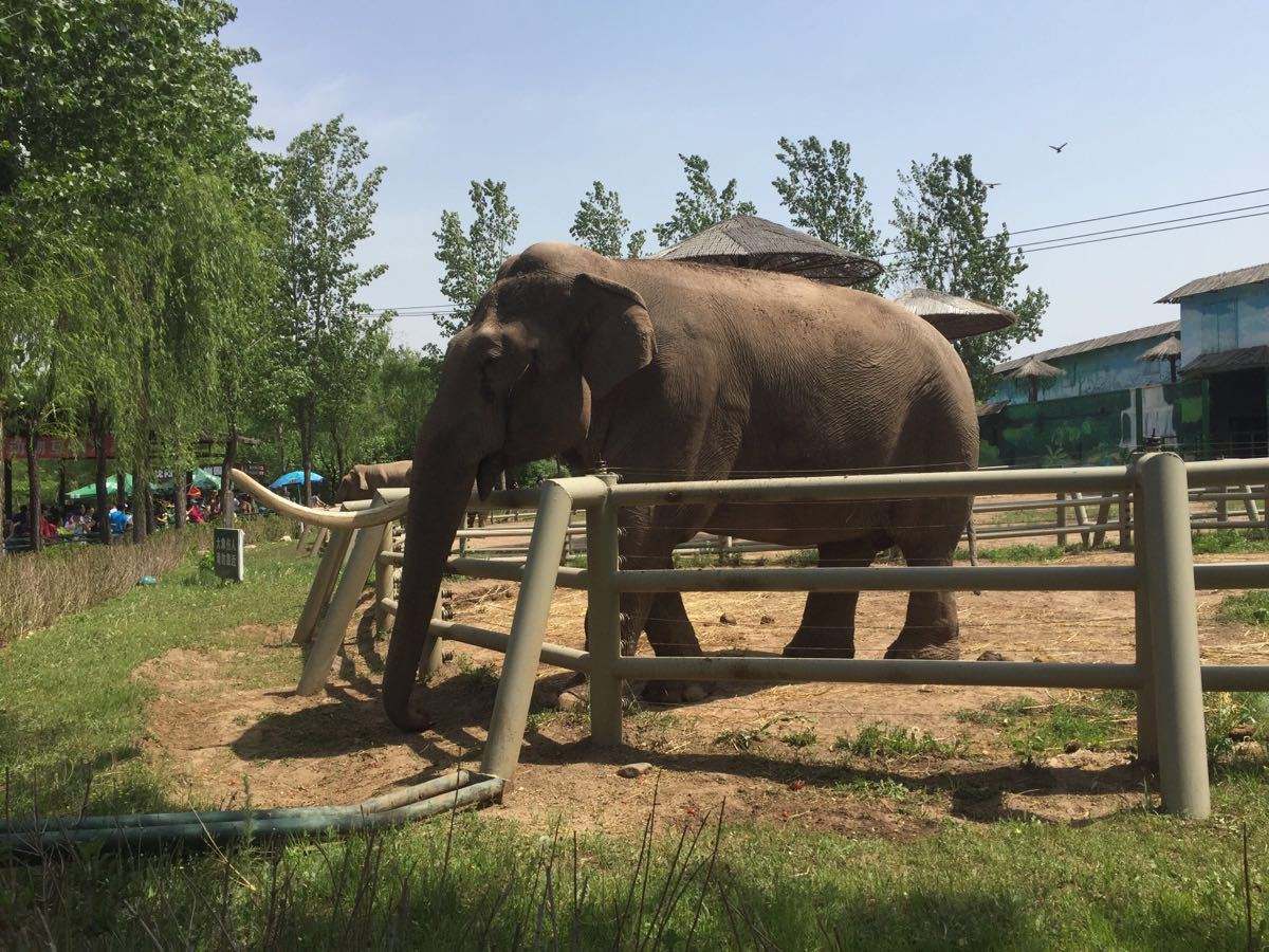 除了沈阳冰川动物乐园,莆田蔡襄陵园,规模非常大的知名旅游景点原来