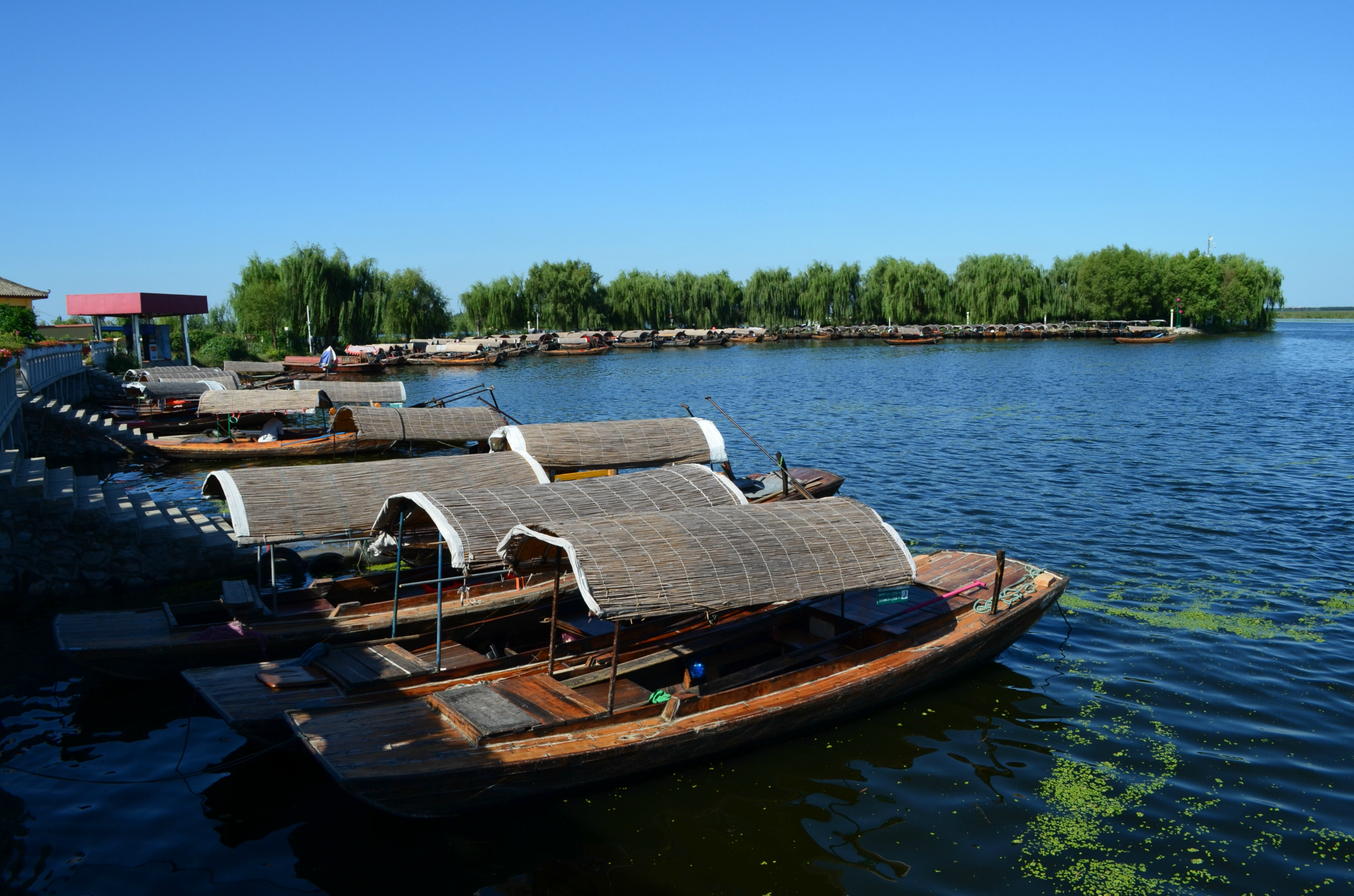 白洋淀最好的地方是空气好,没有车辆尾气的污染,只有甜甜的水汽味,,再