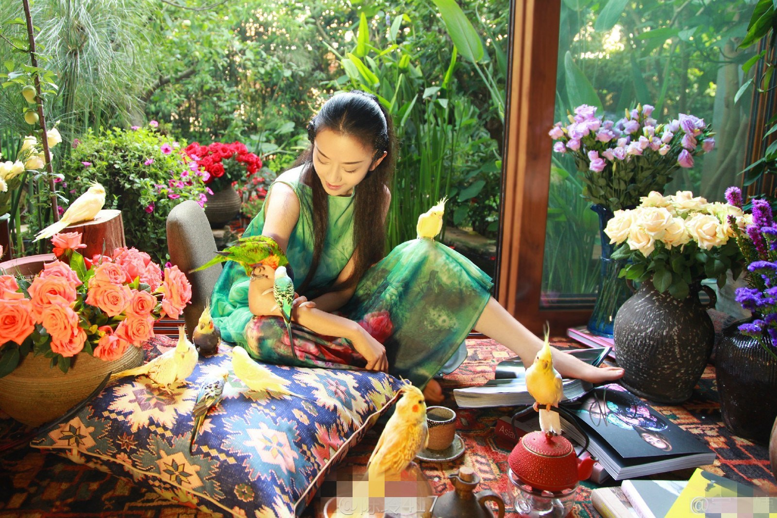 60岁杨丽萍背影刷屏,美丽背后的真相原来是这样