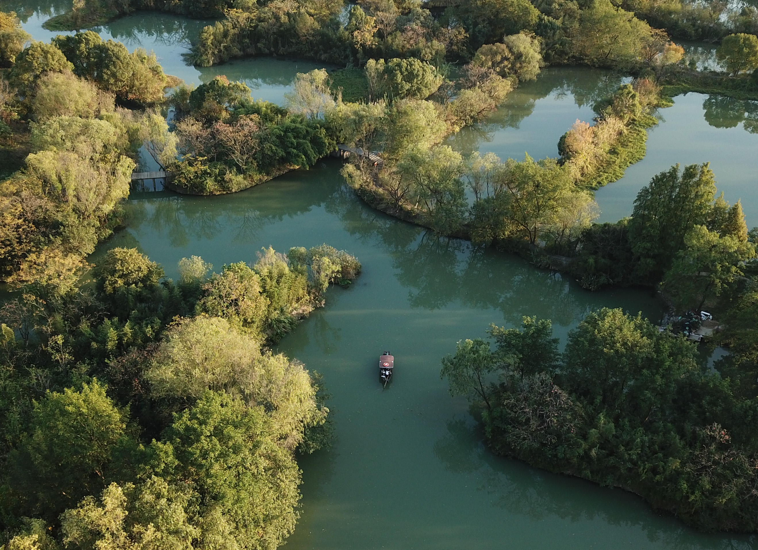 杭州西溪湿地秋色渐浓,碧波黄叶相映成趣    新华社记者翁忻旸摄