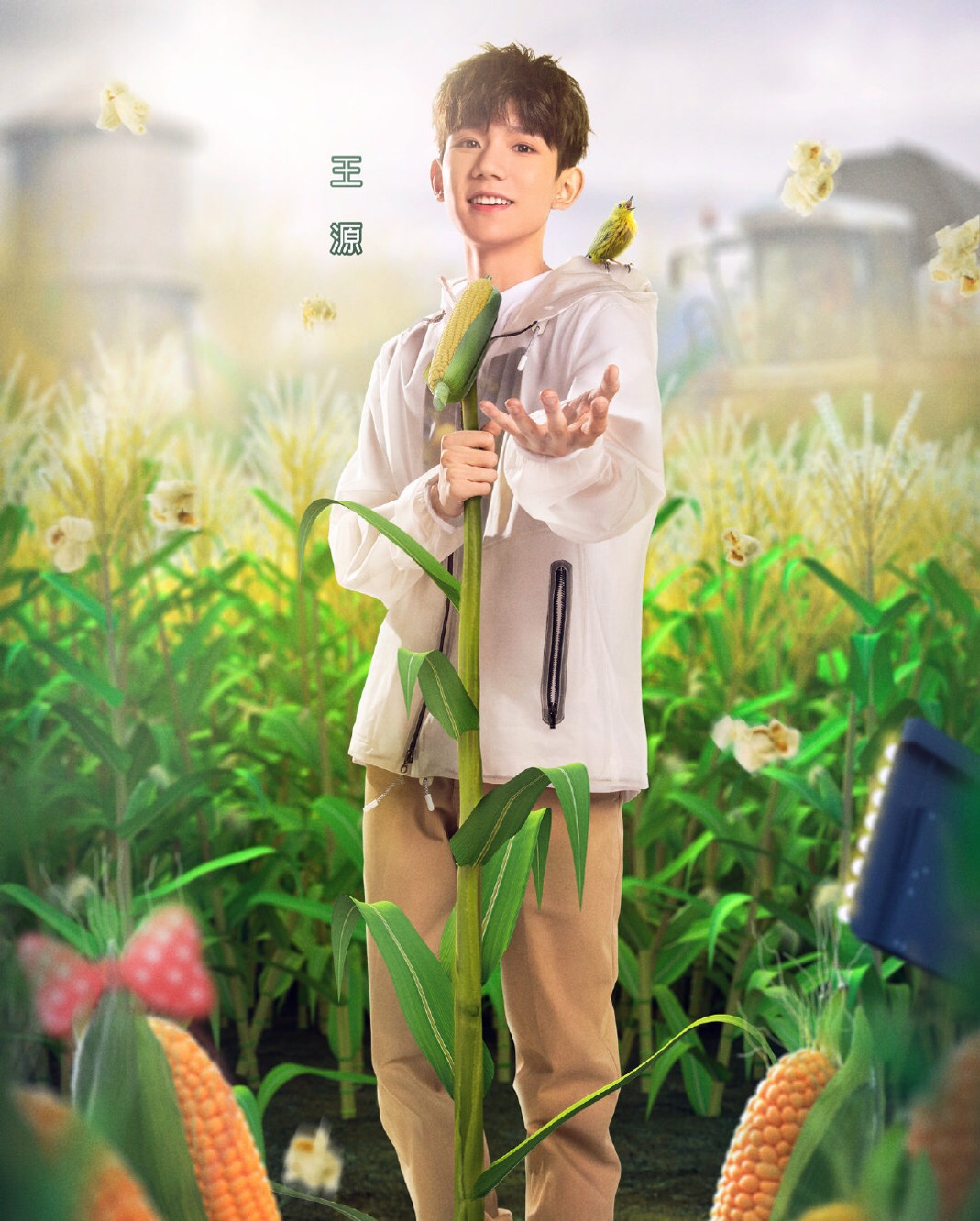 恭喜!王源《哈哈农夫》今日首播,音乐少年改"伙夫"?