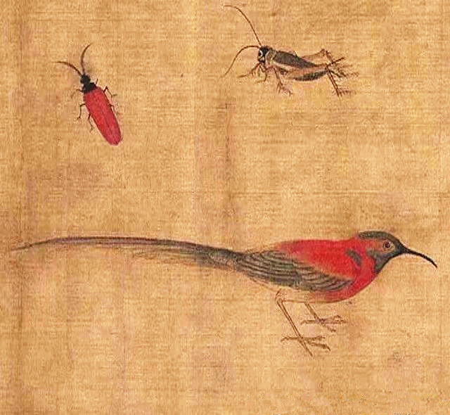 宋画遗珍《珍禽图》的绘制者,五代十国西蜀画家——黄荃
