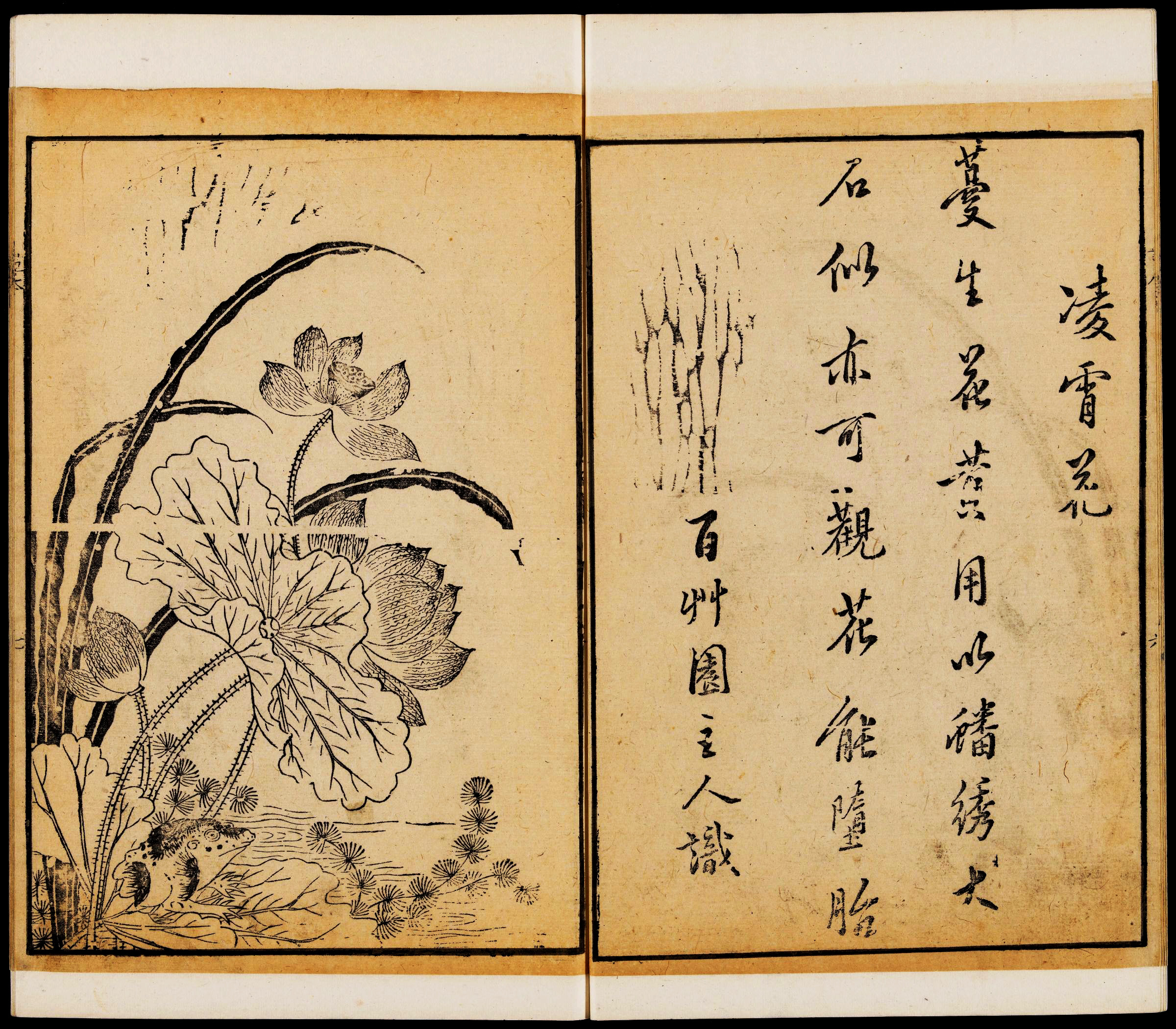 中国版《唐诗画谱》