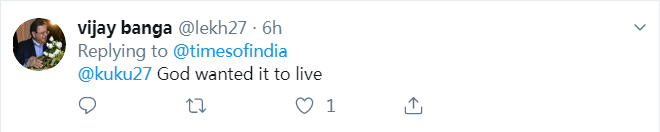 新生婴儿惨遭母亲遗弃，流浪狗从下水道救回一命！身上还包着塑料