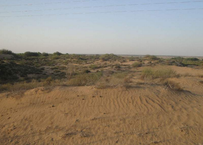 "四大沙地"将要变成"三大",中国这个沙漠,有80%已变成绿洲