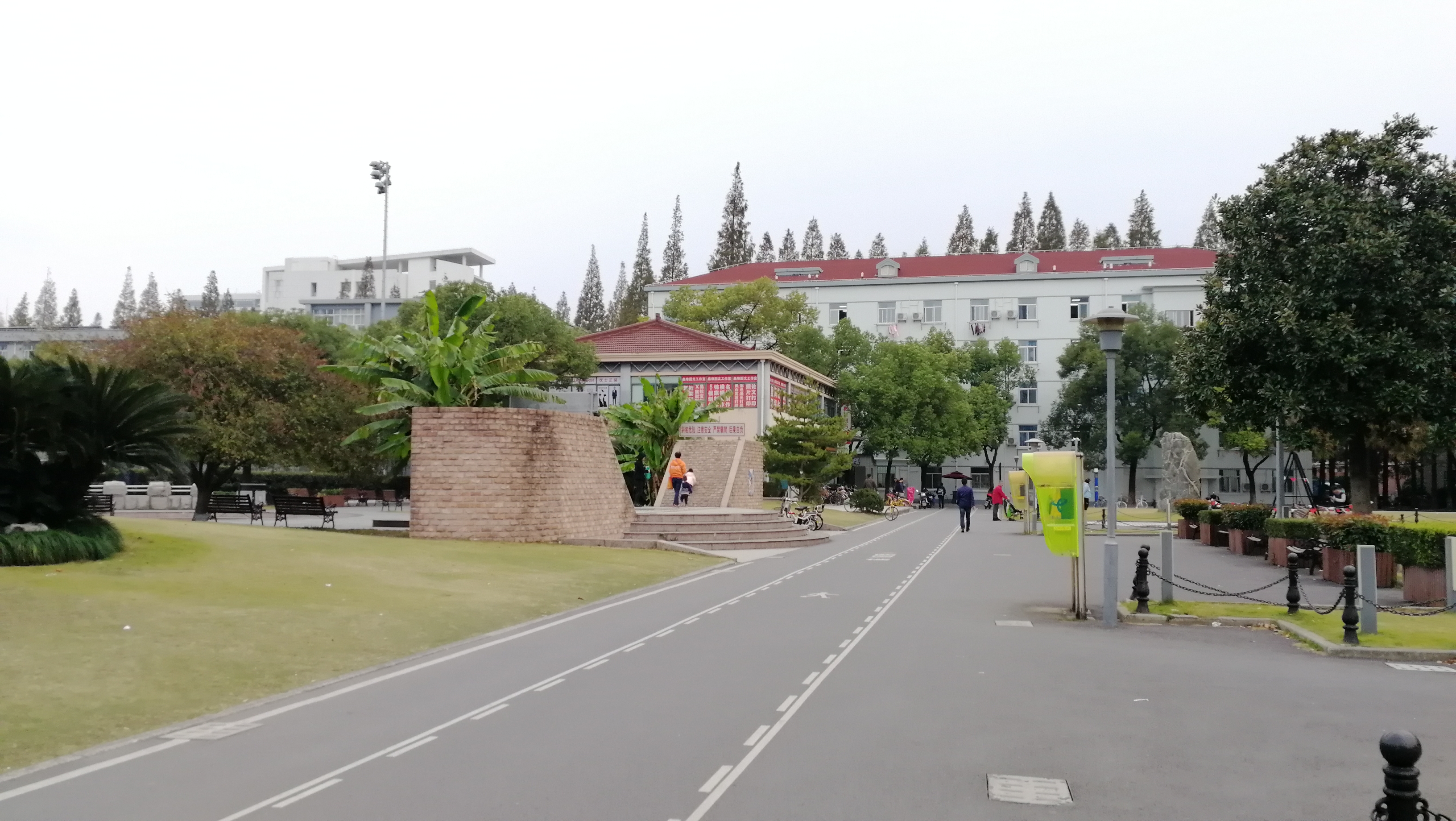 實拍上海同濟大學,中國985大學百年老校,校園建築古色古香