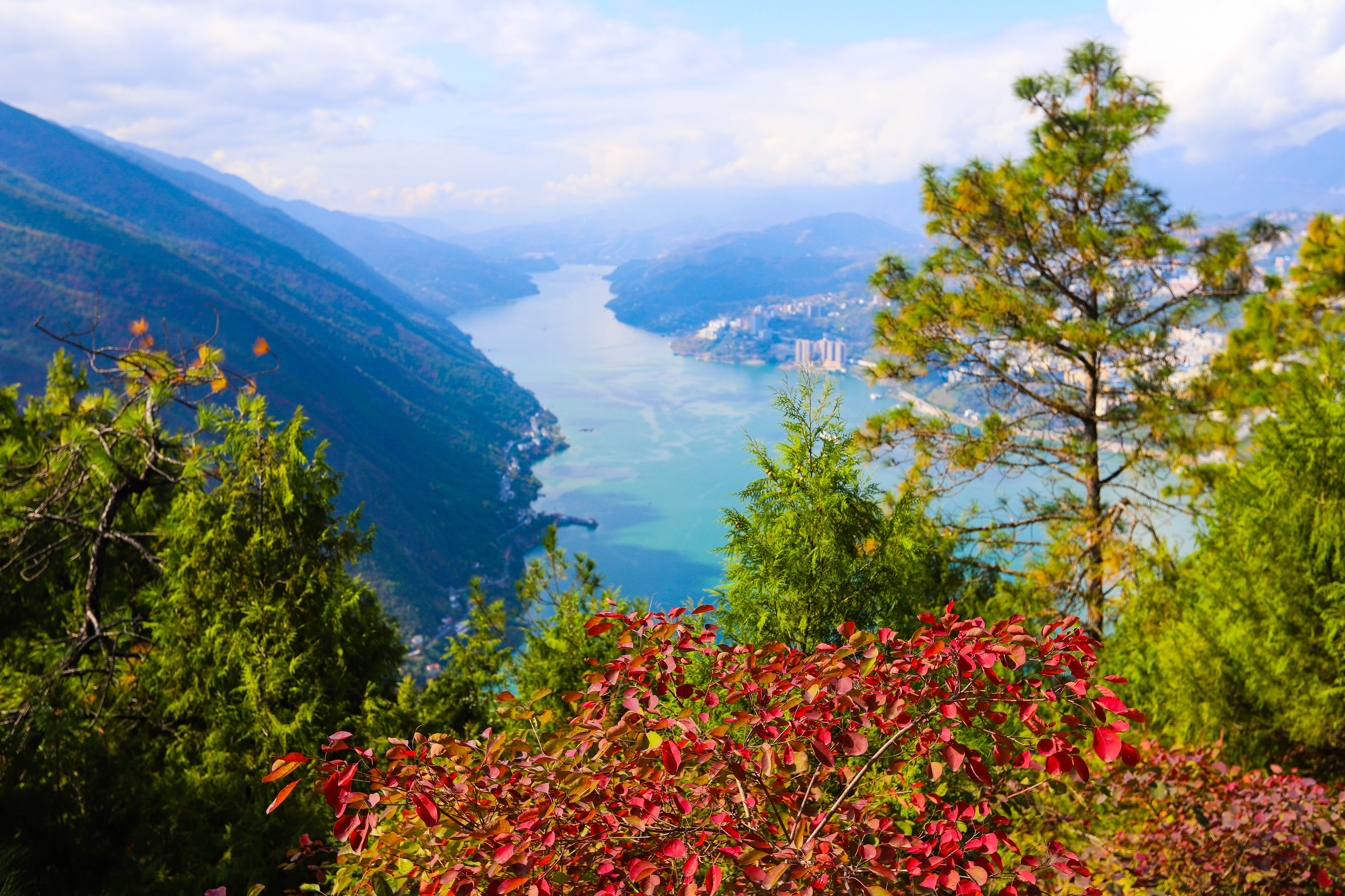 途牛首发巫山进入红叶旺季云巅鸟瞰长江赏秋观景指南