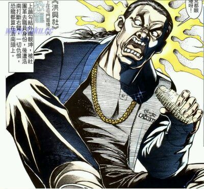 "古惑仔"洪兴社十二堂口话事人及地盘深度起底!
