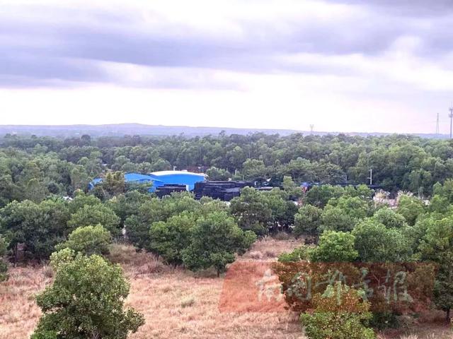 我们的报道引关注,定安将拆除敬老院旁违建工厂