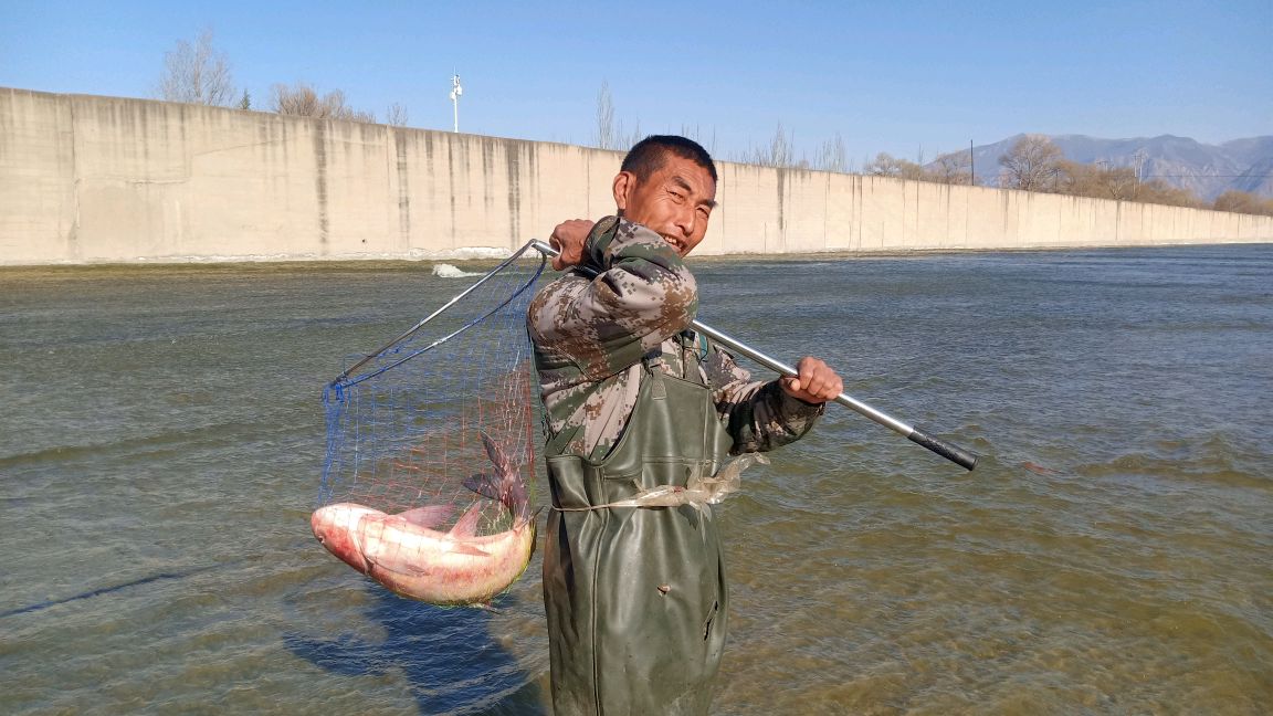 旱鸭子下水,居然能捞如此大货,又有口福了
