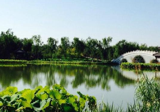 天津6大森林公园,想要探寻大自然的美吗? 港北森林公园