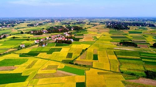 "2000年3月,时任湖北省监利县棋盘乡党委书记李昌平上书国务院总理.