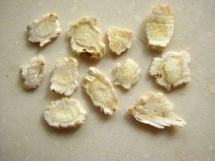 百家草叶之——桔梗