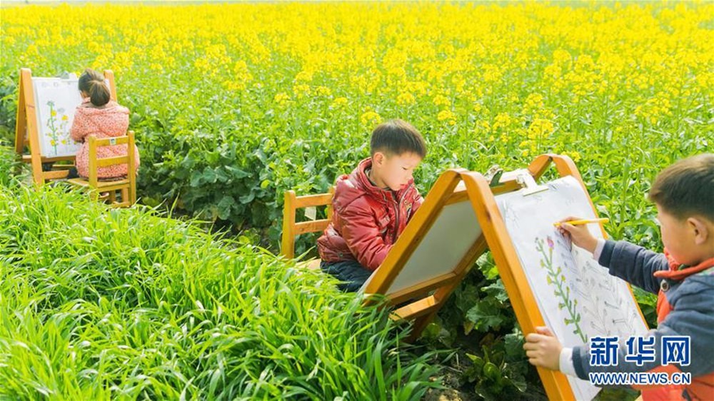 春色正好 孩童油菜花田