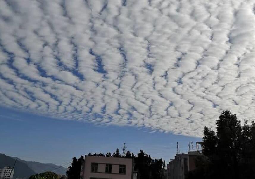 雲南上空現驚豔鱗片雲 道道雲紋佈滿天