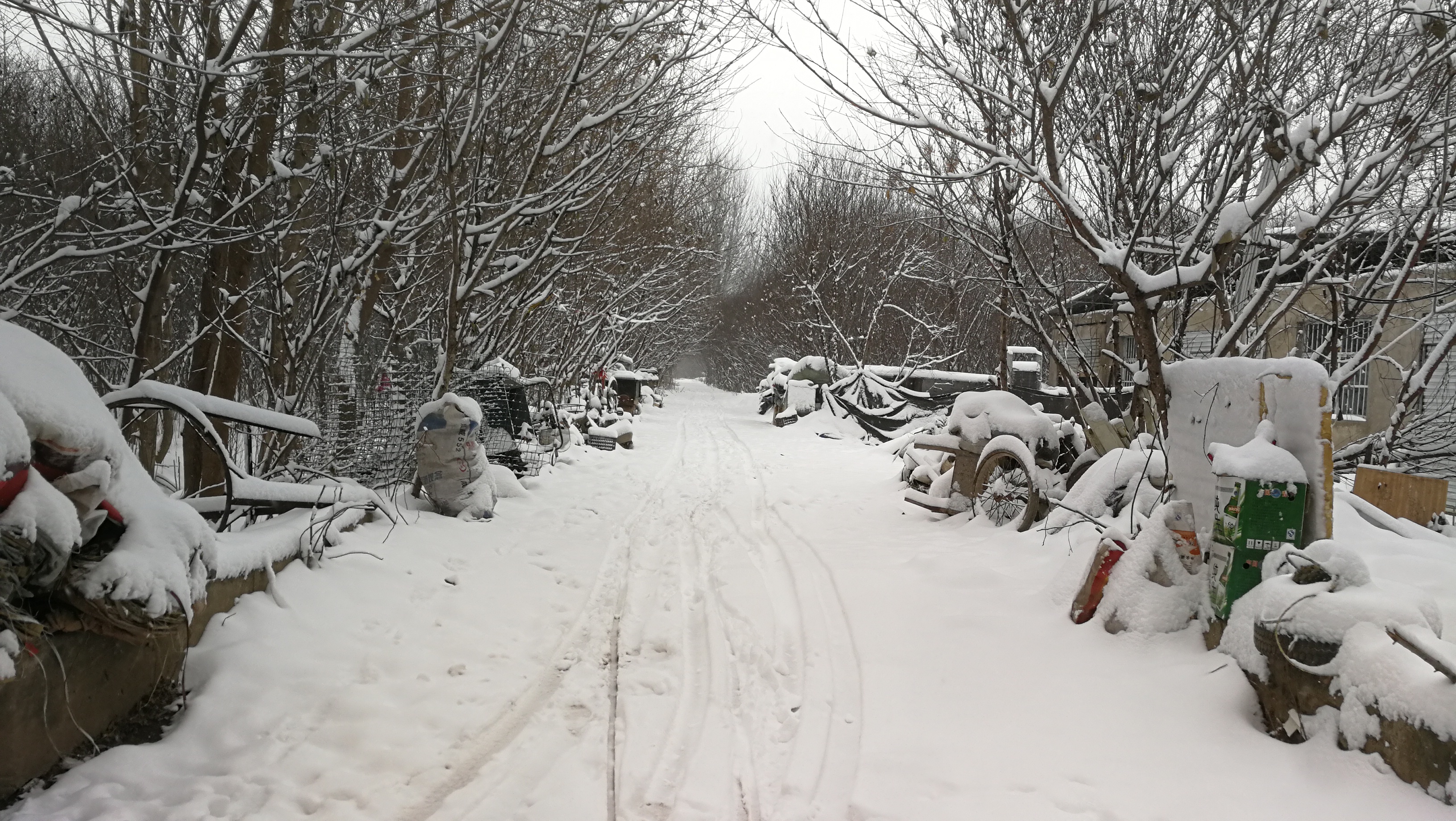 不给孩子添麻烦,农村母亲大雪天打零工挣钱,儿子嫌丢人了!